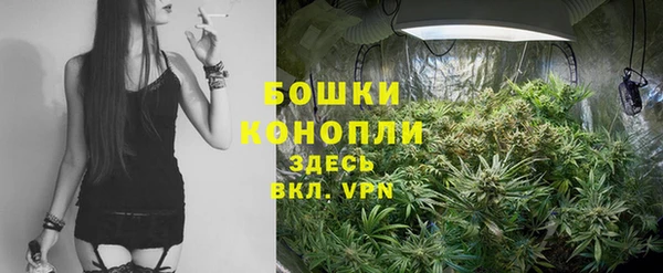 трава Горно-Алтайск